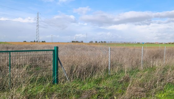 Kılıçköy'de 7274 MT2 Ev Yapımına Uygun Yolu Olan Meyve Bahçesi